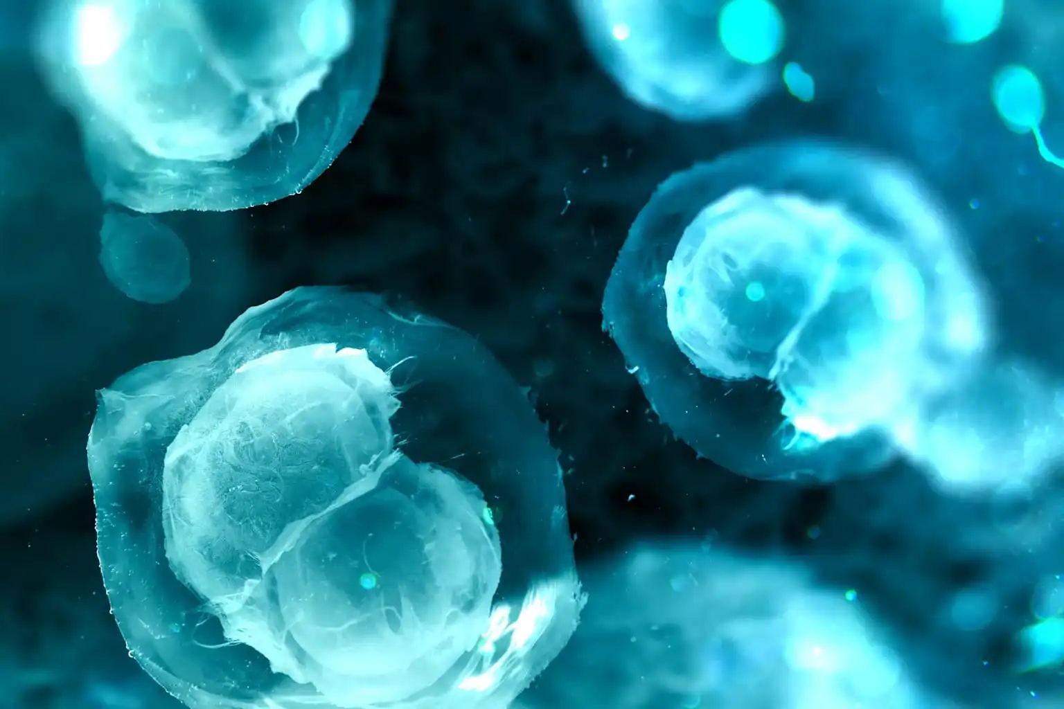 个性化mRNA疫苗让大多数乳腺癌患者六年内保持无病状态