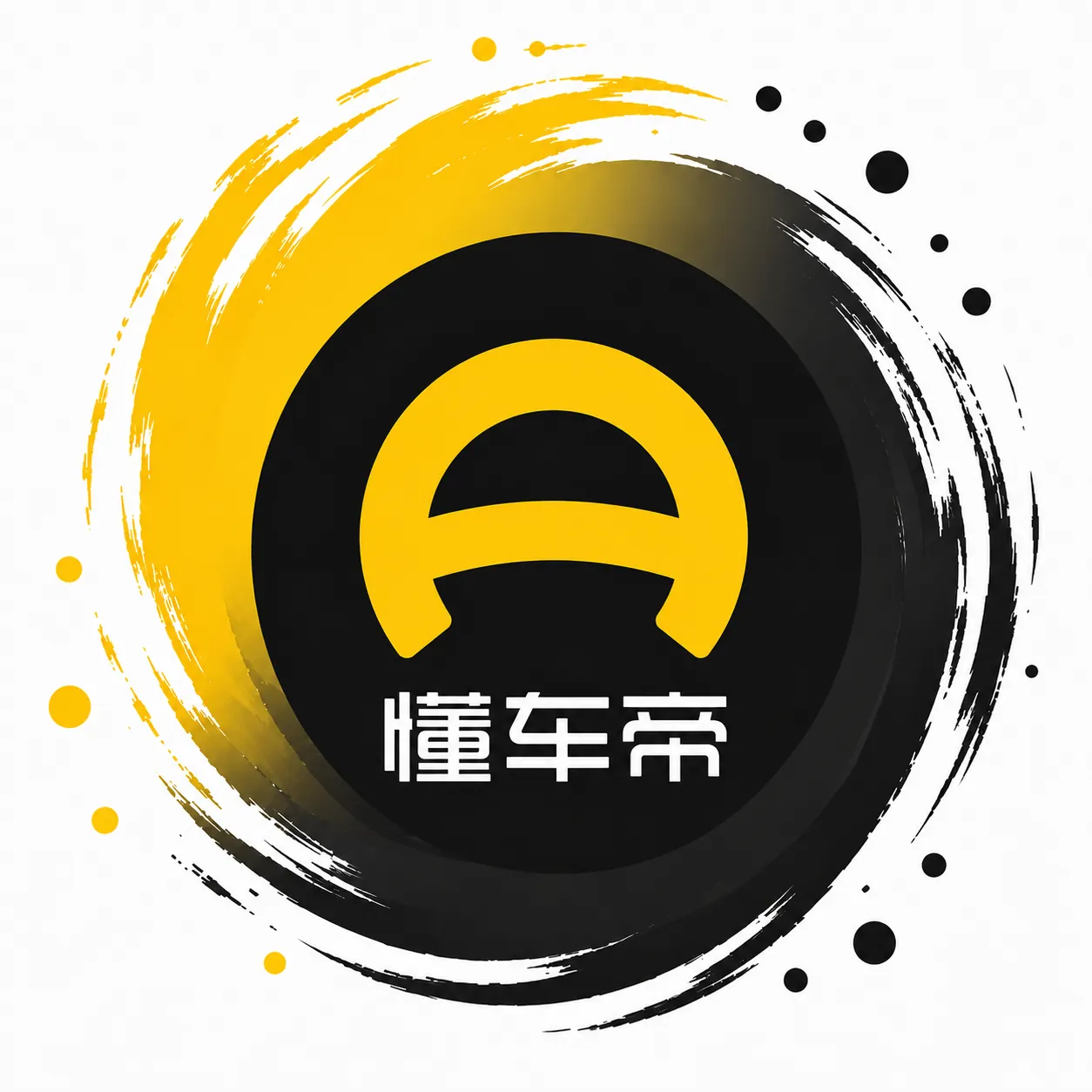 懂车帝区