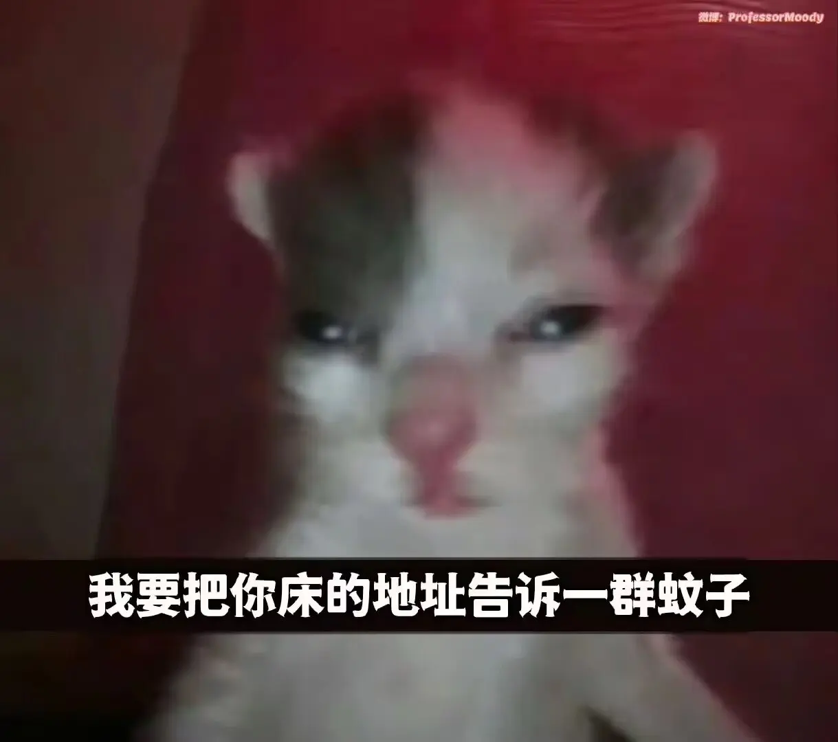 表情图片