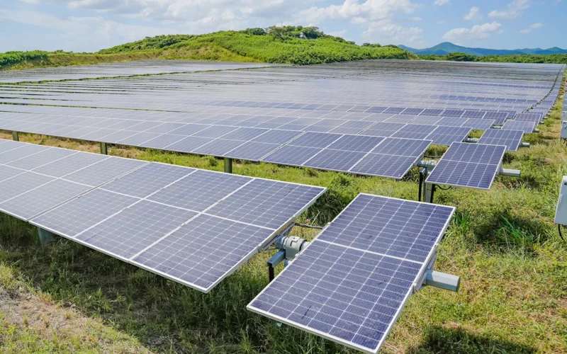 国际能源署：欧盟2025年节省600亿美元化石燃料成本