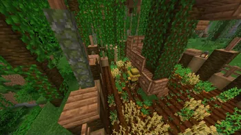 crops