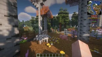 bls shader