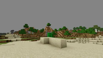 Cactus and The Forest